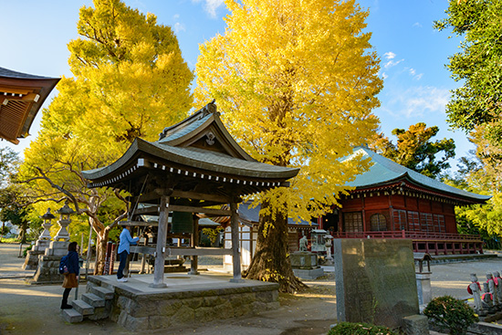 飯泉観音(飯泉山勝福寺)