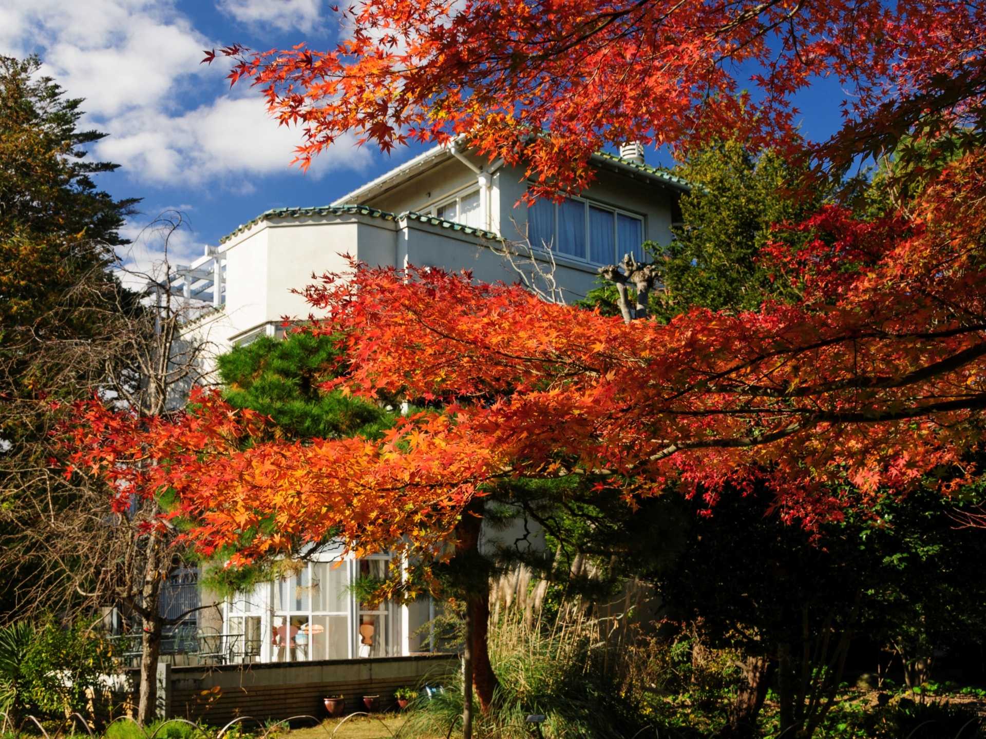 小田原文学館