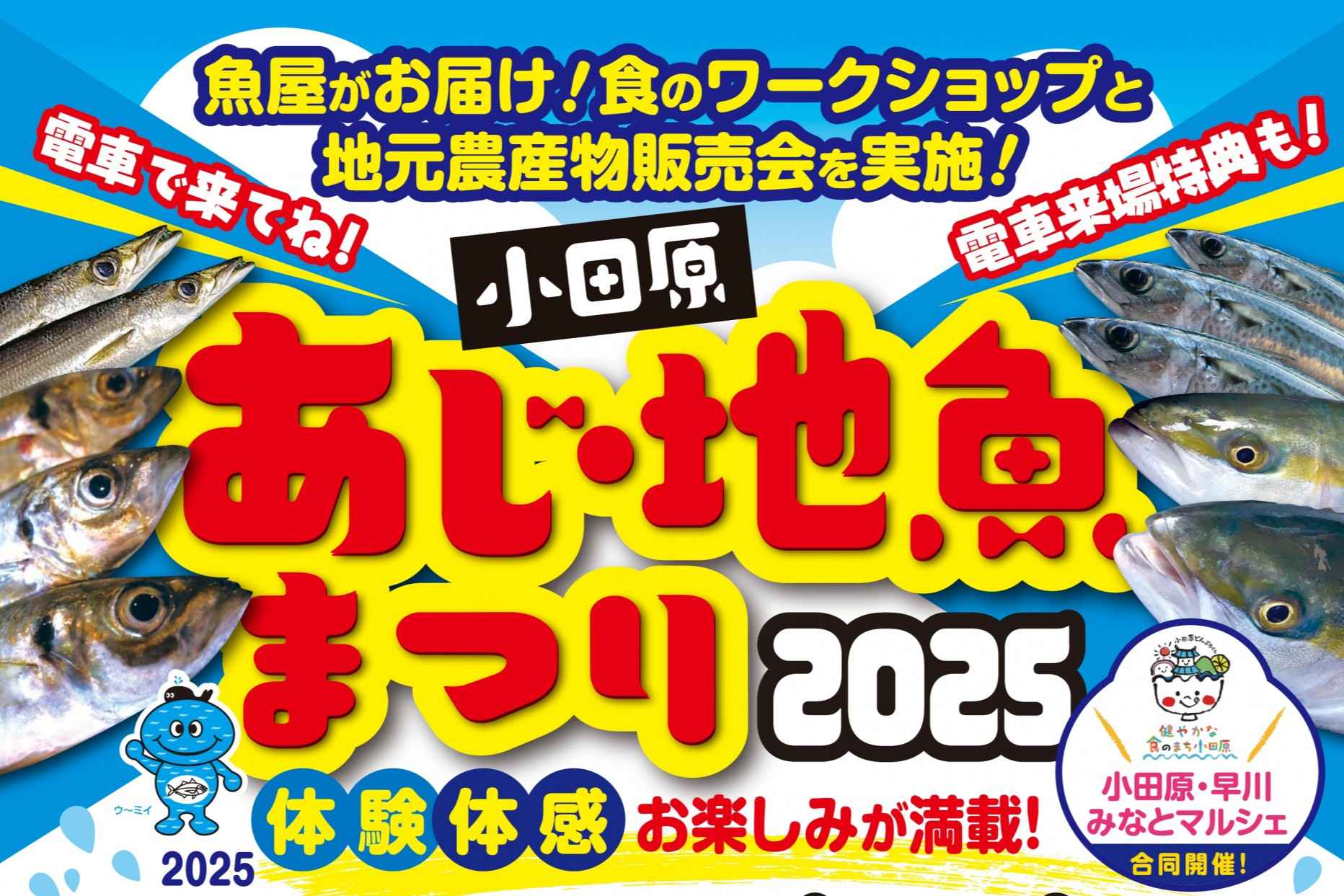 小田原あじ・地魚まつり