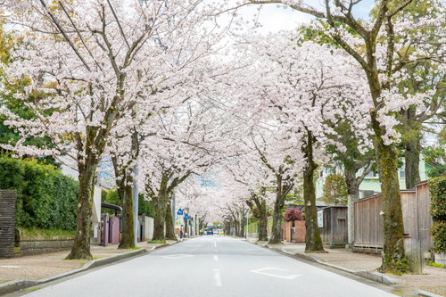 西海子小路