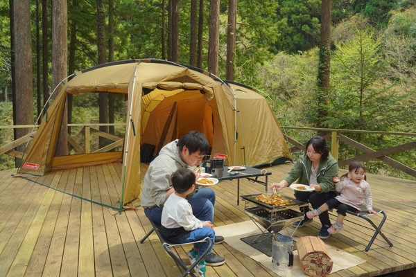 足柄森林公園丸太の森