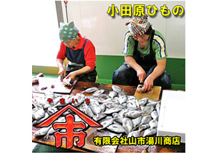 山市湯川商店