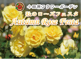 秋のローズフェスタ イベント イベント情報 リトルトリップ小田原 小田原市観光協会