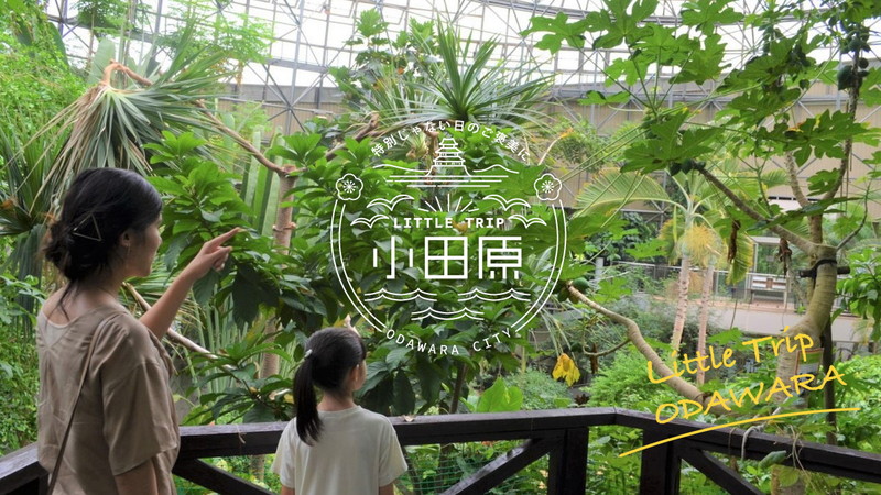 小田原のすべての観光情報を掲載！小田原市観光協会 Odawara Little Trip