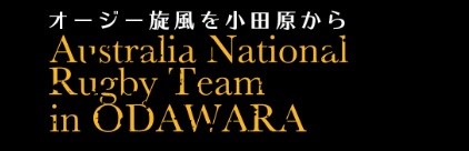 ワラビーズを応援する　特設サイト